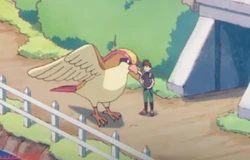 EVOL08 Pidgeot de Trace