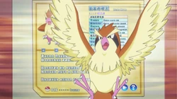 PO01 Pidgey de Rojo