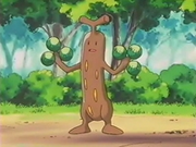 EP164 Sudowoodo (3)