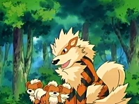 EP416 Arcanine y Growlithe