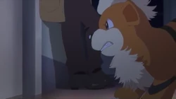 GEN02 Growlithe de Handsome