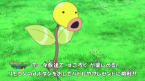 Imagen de Bellsprout