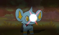 Shinx usando malicioso en la sexta generación.