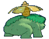 Imagen posterior de Venusaur variocolor hembra en la sexta y séptima generación