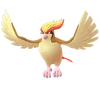 Pidgeot