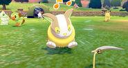 Yamper en el Poké Campamento.