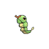 Caterpie