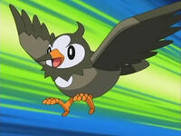 EP472 Starly de Ash