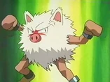 Imagen de Primeape
