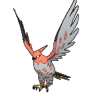 Talonflame