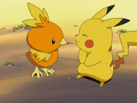 Torchic con Pikachu.