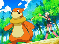 Buizel junto a Dawn/Maya.