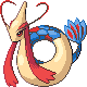 Milotic DP hembra 2