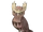 Noctowl