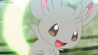 Minccino usando Rapidez contra el Pikachu de Ash.