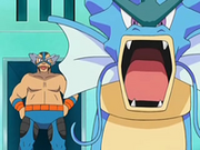 EP552 Mananti con Gyarados