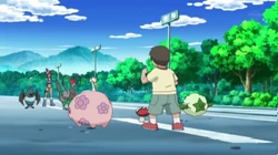 EP729 Munna, foongus y cotonee de un entrenador