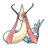 Milotic XY hembra