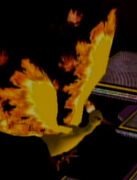 Moltres en SSBM