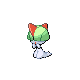 Ralts DP 2