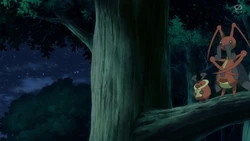 EP1164 Kricketot y Kricketune
