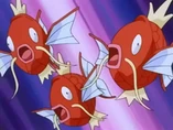 Imagen de Magikarp (x3)