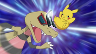 Krokorok vs. Pikachu.