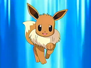 EP468 Eevee de May