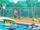 EP1029 Ribombee, Slowpoke, Shellder, Pichu, Rockruff, Psyduck, Poliwag, Riolu, Gulpin y Grubbin.png