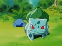 Bulbasaur defendiendo a un Oddish cuando aún era salvaje.