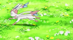 EP1008 Sylveon