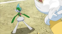 Imagen de Gallade