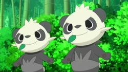 EP815 Pancham