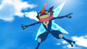 EP921 Greninja Ash