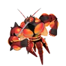 Buzzwole