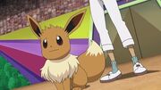 EP1072 Eevee de Ilima