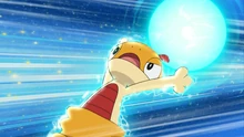 Scraggy de Ash usando onda certera.