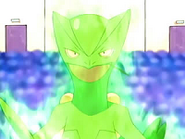 EP468 Sceptile usando espesura