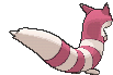 Imagen posterior de Furret variocolor en la sexta y séptima generación