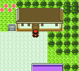 Academia Pokémon de Primo en Pokémon Cristal