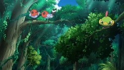 EP1002 Fletchling y Natu