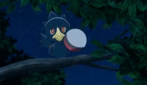 Imagen de Murkrow