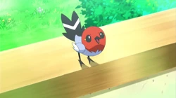 EP805 Fletchling