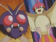 El Venonat de Koga, poco antes de evolucionar, a punto de comenzar la batalla.