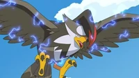 Daño de retroceso de pájaro osado en el Staraptor de Ash en el EP600.