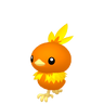 Torchic