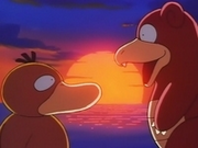 EP068 Psyduck y Slowbro