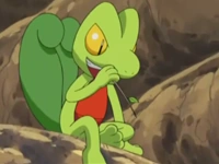 Treecko en estado salvaje.