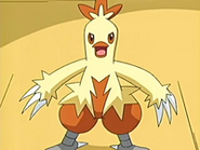 EP459 Combusken de Aura