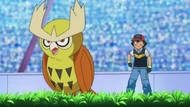 Noctowl junto a Ash.